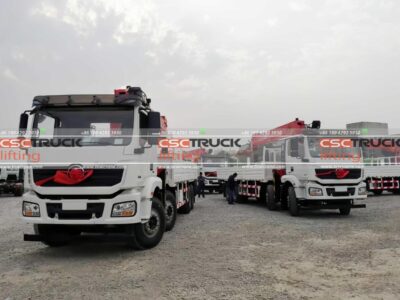 SHACMAN M3000 16 Ton Truck Telescopic Crane (4)