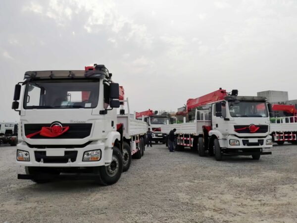 SHACMAN M3000 16 Grue télescopique de camion de tonne (4)