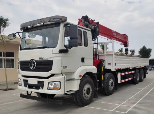 Shacman m3000 16 Ton treatopic telene