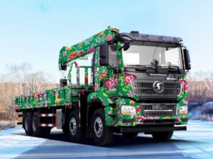 SHACMAN M3000 Truck Telescopic Crane 14 Ton (4)