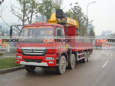 Ruilon 270Horsepower 8X4 31Ton Truck Mounted Crane