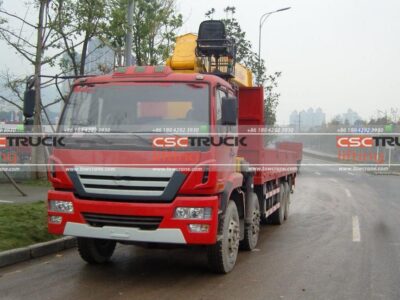 Ruilon 270Horsepower 8X4 31Ton Truck Mounted Crane