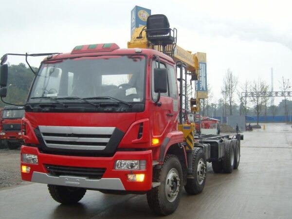Ruilon 270Horsepower 8X4 31Ton Truck Mounted Crane