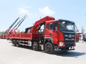 Dengfeng 30 Camió grua Ton Knuckle Boom