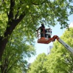 Articulated Bucket Lift Truck